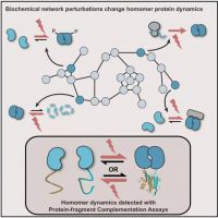 哇，二甲双胍可以影响745种蛋白的活性